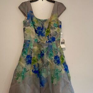 NWT  Kay Unger Print Silk Organza Fit & Flare Dress size 6